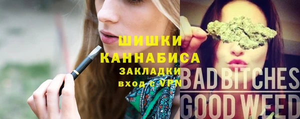 мдпв Надым