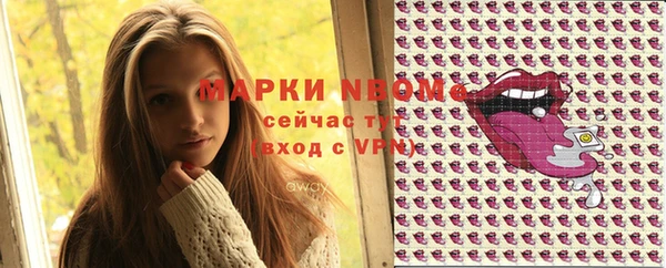 мдпв Надым