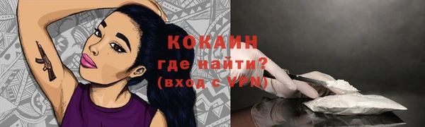 мдпв Надым