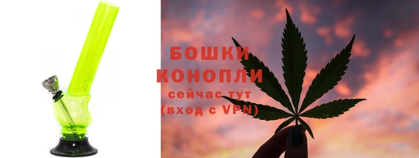 мдпв Надым