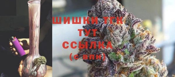 мдпв Надым