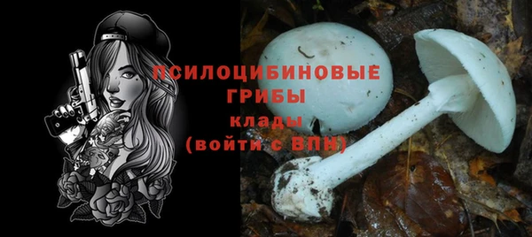 МДПВ Наволоки
