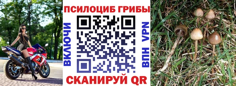 Галлюциногенные грибы Magic Shrooms  shop Telegram  Разумное 